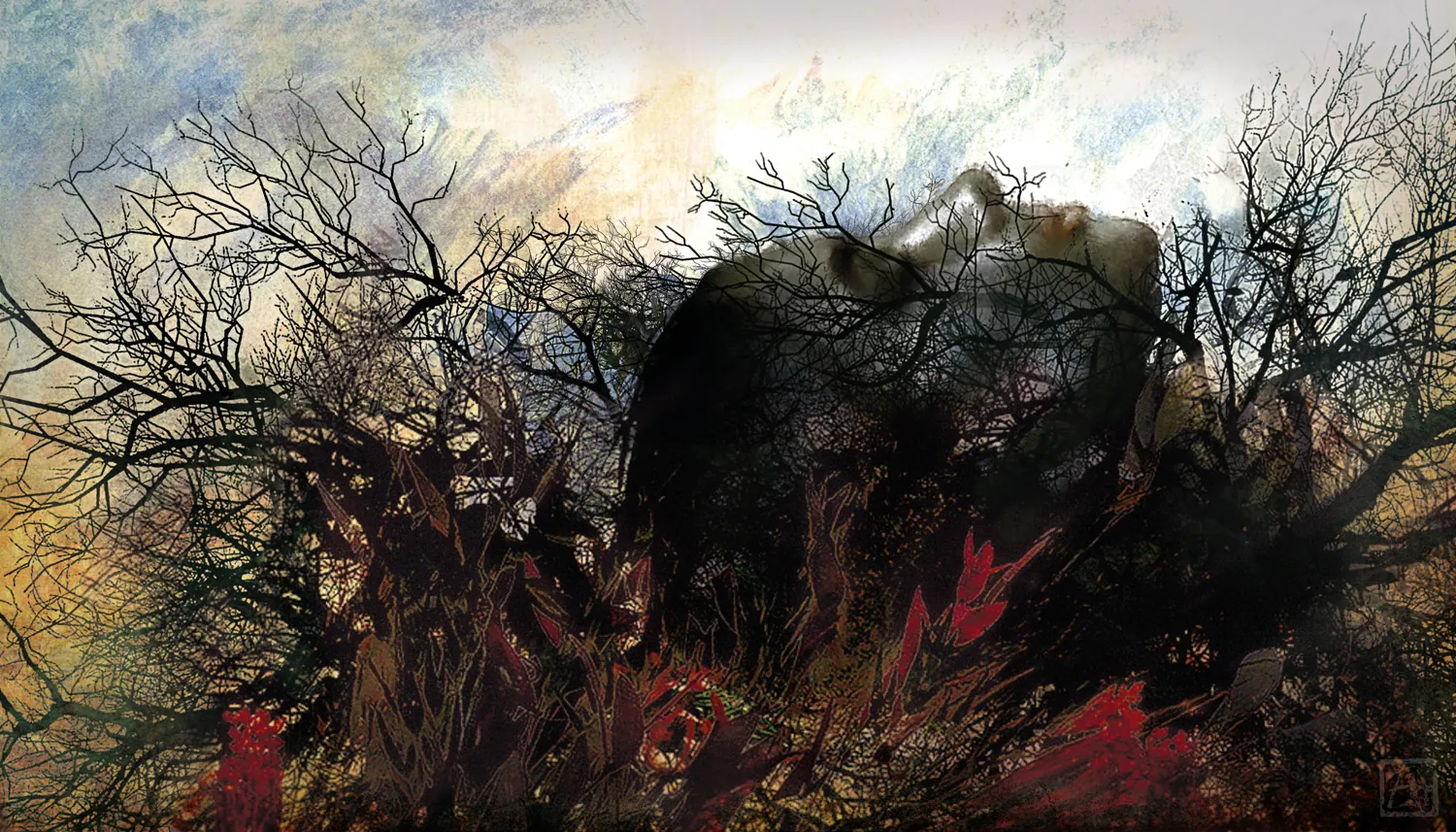 Ilustrace k knize Letní slunovrat