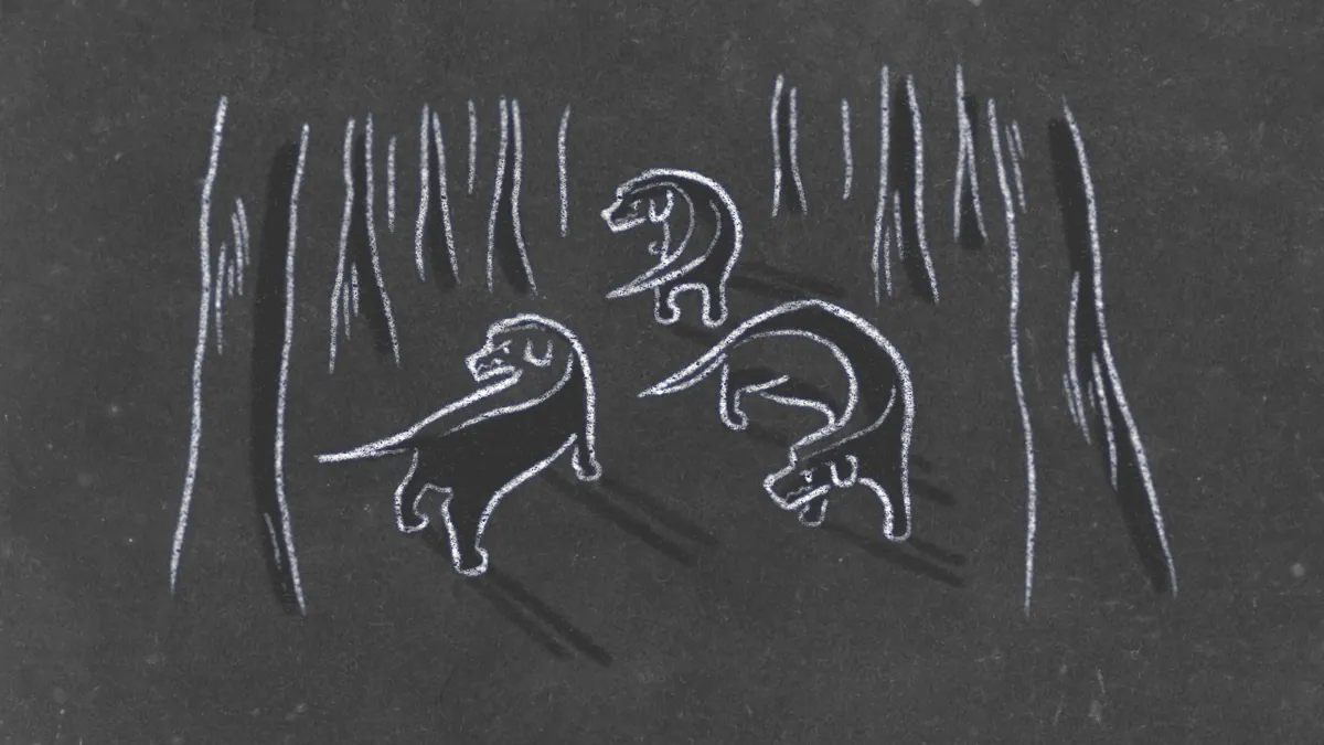 Ilustrace k knize Žádné dobré zprávy